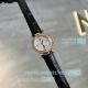 Swiss Copy Pasha de Cartier 35mm Watch in Rose Gold Diamond-set (3)_th.jpg